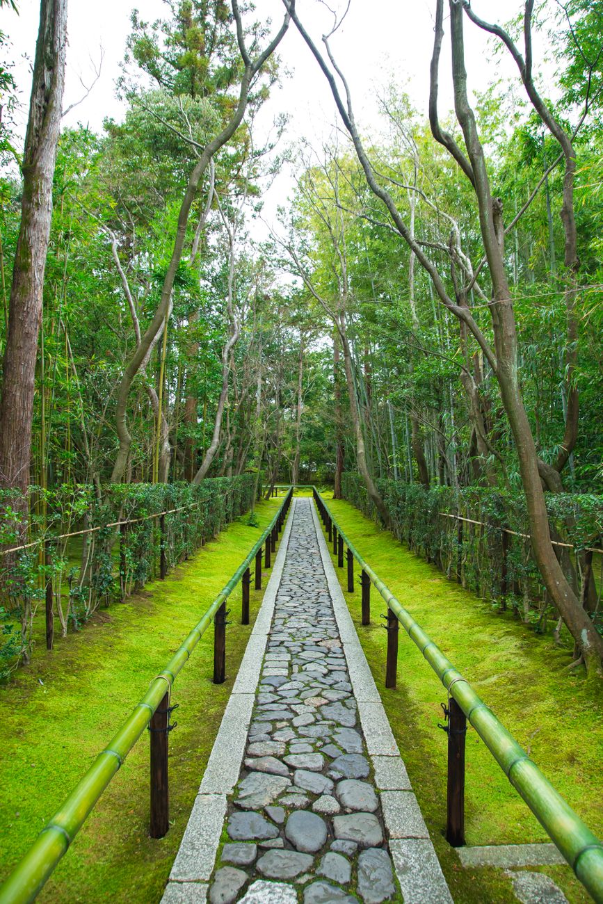 Kyoto traditional garden temple travel experience
